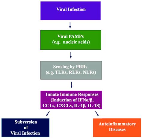 Schematic Representation Of The Key Principles Involved In Innate