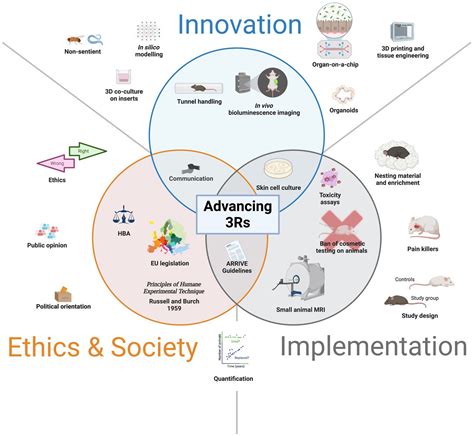 Frontiers Advancing The 3Rs Innovation Implementation Ethics And