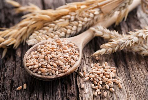Choose whole grains for greater health benefits | My Vanderbilt Health
