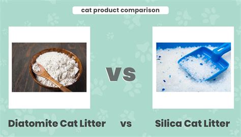 Diatomite vs Silica Cat Litter: Vet-Reviewed Differences Explained - Catster