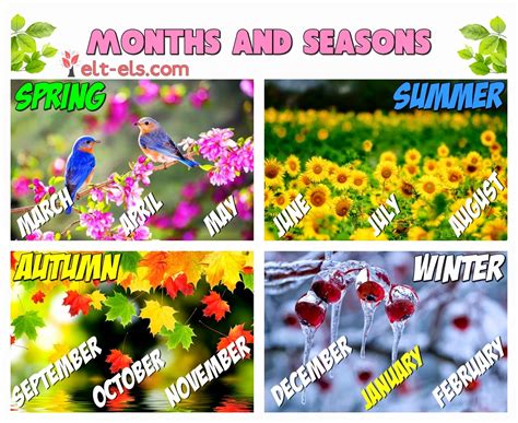 Months and seasons | www.elt-els.com