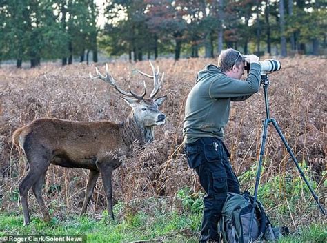 Hey Je suis juste derrière toi Ce photographe animalier ne