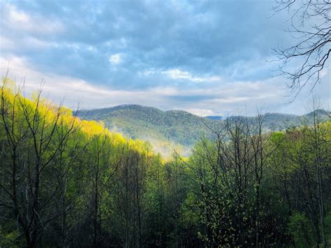 North Georgia Mountains Cabin Vacation Rentals - Georgia, United States | Airbnb