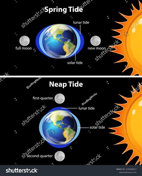 Diagram Showing Earth Tides Illustration Stock Vector (Royalty Free ...