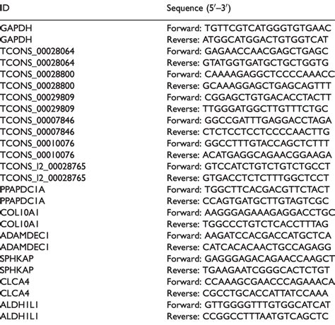 Primer Sequences Used In Quantitative Reverse Transcription Polymerase