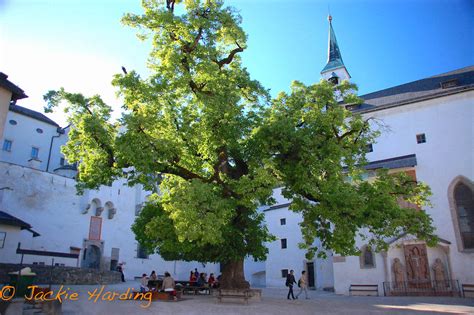 Inside Hohensalzburg fortress - Dispatches Europe