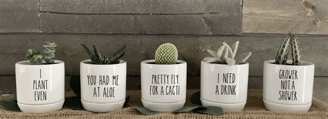 Best Pots For Succulents | POPSUGAR Home