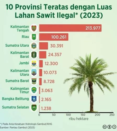 Kalteng dengan Luas Lahan Sawit Ilegal Terbesar di Indonesia Capai 213 ...