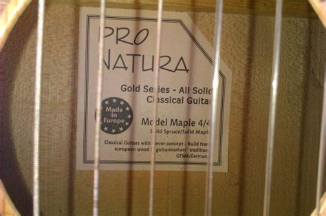 Pro Natura Gold Maple Gewa Pro Natura Gold Maple Audiofanzine