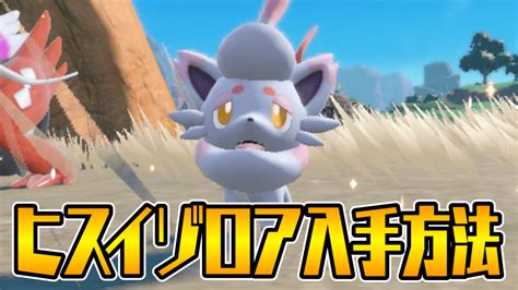 【ポケモンsv】ヒスイゾロアの入手方法・生まれない時の原因【スカーレットバイオレット】 Appbank