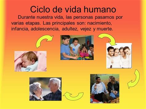 Ciclo Vital Del Ser Humano Timeline Timetoast Timelines Hot Sex Picture