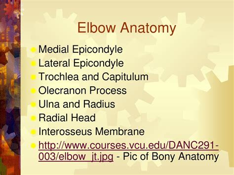 Elbow Anatomy Medial Epicondyle Lateral Epicondyle Ppt Download