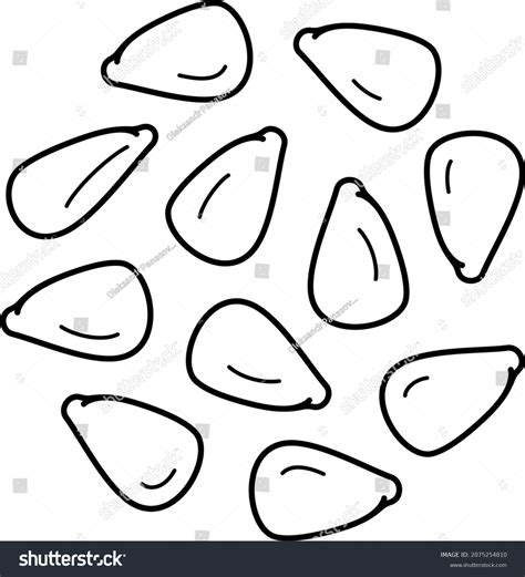 how to plant an apple tree from seed 9