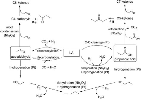 Scheme Catalytic Upgrading Of La Over Bifunctional Pt Nb O