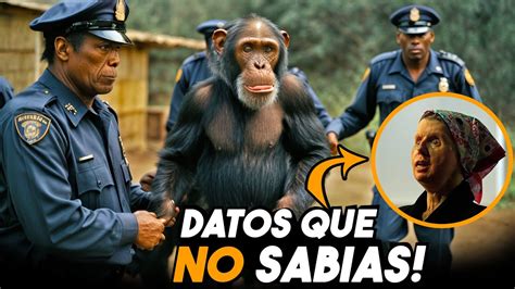 Chimpanc Ataca A Mujer Caso Charla Nash Youtube