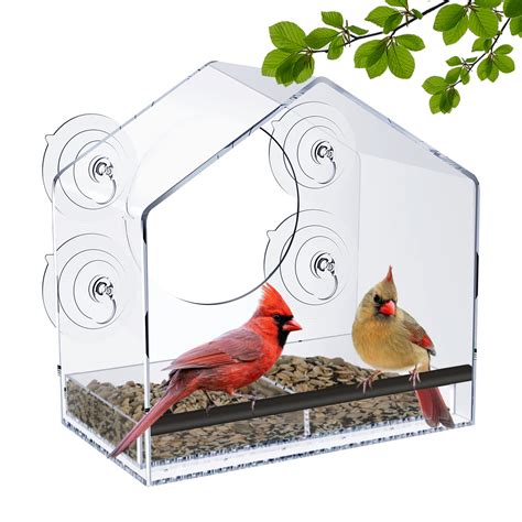 10 Best Window Robin Bird Feeders For Your Garden Hummingbirds Plus