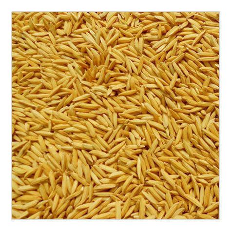 Brown A Grade Indian Origin Dried Natural Paddy Rice With High