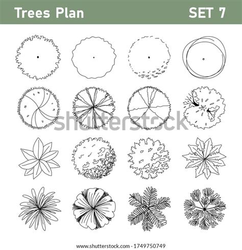 Tree Top Tree Plan Free Hand Stock Vector Royalty Free