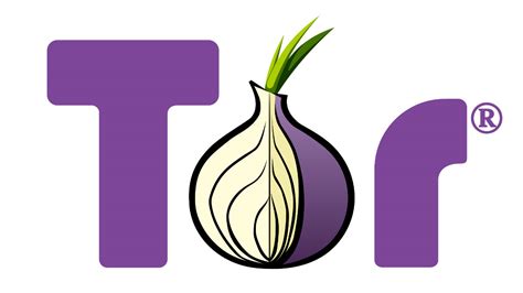 Tor El Navegador De Internet Que Protege Tu Privacidad Y Anonimato