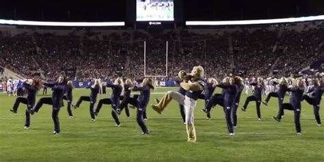 Byu Mascot Cosmo Cougar Dances With Cougarettes Inspiremore