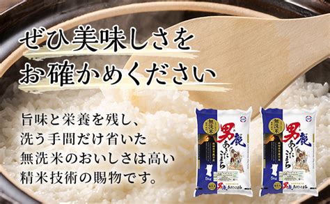 定期便 無洗米 令和4年産 あきたこまち 5kg×2袋 4ヶ月連続発送 秋田県 男鹿市 秋田食糧卸販売 ふるさとパレット ～東急グループの