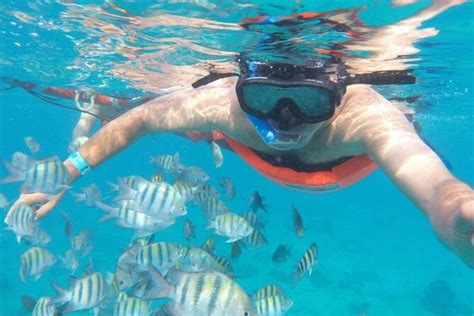 Private Musa Snorkeling Experience From Isla Mujeres Cancun 2024