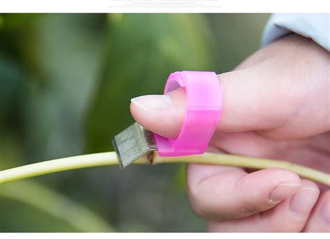 Sécateur à Crémaillère Couteau de jardinage pour cueillir les fruits