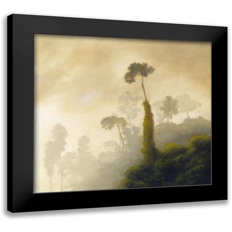 Monzon Rick 22x20 Black Modern Framed Museum Art Print Titled Fog