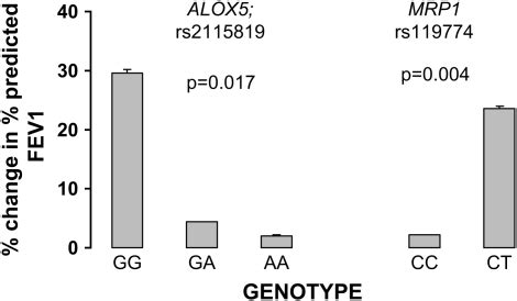 Influence Of Leukotriene Pathway Polymorphisms On Response To