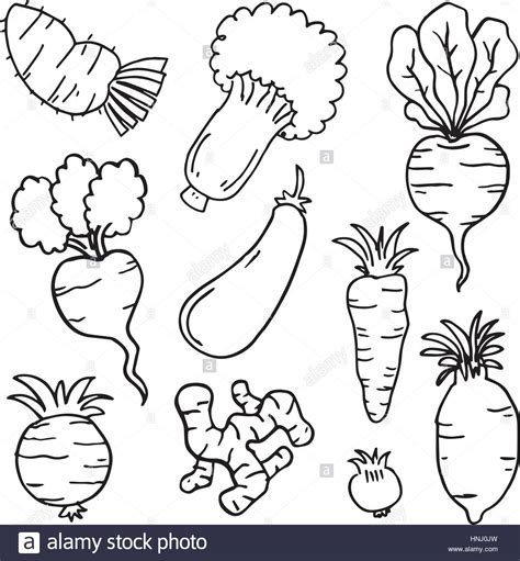 Vegetables Drawing at GetDrawings | Free download