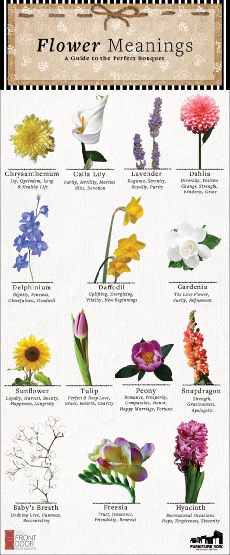 Flower Meanings A Guide To The Perfect Bouquet The Front Door®