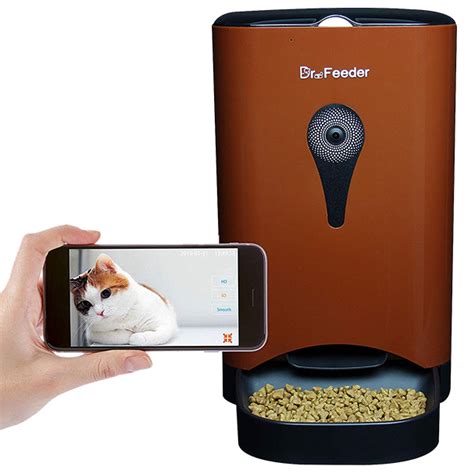 30 Best Automatic Cat Feeder 2021 Reviews® [updated] Guide Automatic