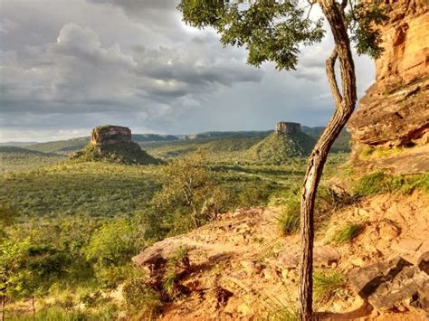 Cia Do Cerrado Ecoturismo Trilhas Lazer E Aventura Carolina