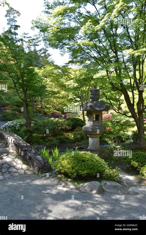 Seattle's iconic Japanese Gardens in Washington Park Stock Photo - Alamy