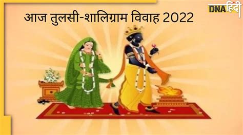 Tulsi Vivah 2022 आज शाम तुलसी विवाह करने से कन्यादान बराबर मिलता है