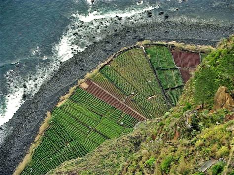 File:Cabo Girao, Madeira.jpg - Wikipedia