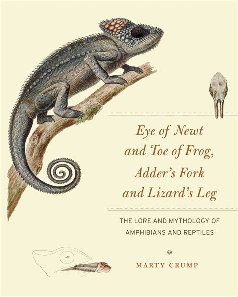 Eye Of Newt And Toe Of Frog Adders Fork And Lizards Leg The Lore