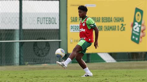 Allianz Parque terá capacidade reduzida para Palmeiras x Flamengo veja