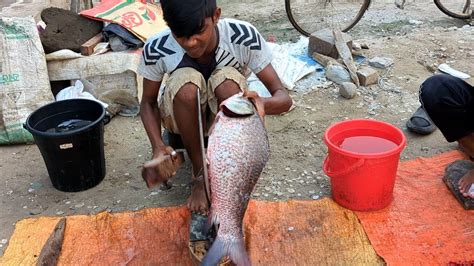 Amazing Live Giant Katla Fish Cutting By Expert Fish Cutter Fish