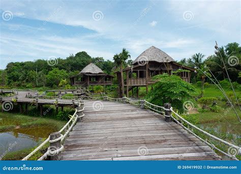 Homegrown Vegetable Garden With Swamp In The Backyard Stock Photo