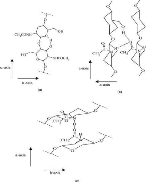 Modes Of Hydrogen Bonding In Chitin A Intrachain C Ohoc