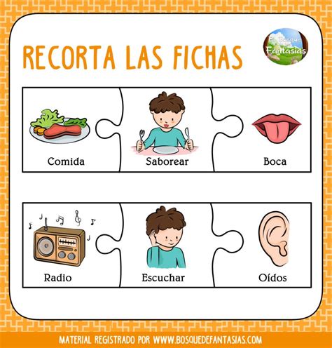 Cuadernillo Puzzle De Los Sentidos Para Primaria Los Sentidos Para