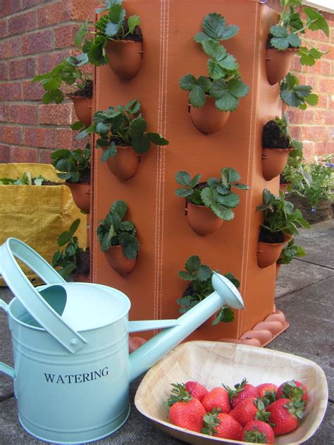 Strawberry Shaped Planter Pot The Perfect Addition To Your Garden