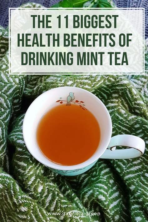 The Biggest Health Benefits Of Drinking Mint Tea Mint Is A Popular