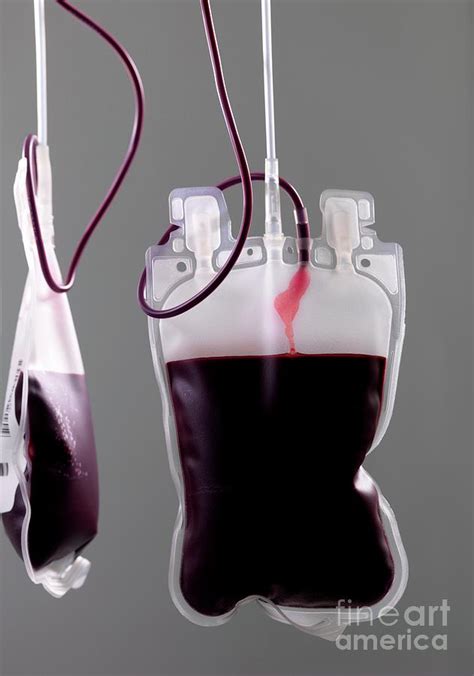 Donor Blood Processing Photograph By Tek Image Science Photo Library