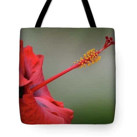 Red Hibiscus Profile Tote Bag By Debra Martz Leather Dye Diy Unique