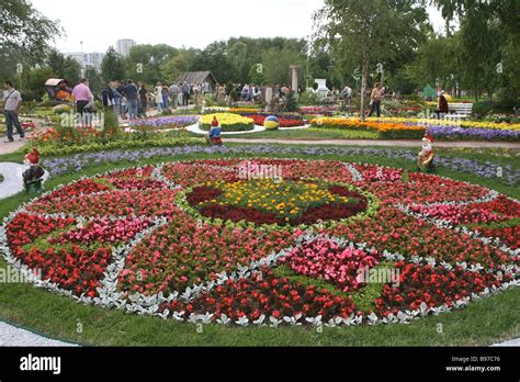 Городская клумба фото (большая подборка изображений) - artshots.ru