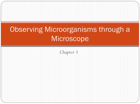 Observing Microorganisms through a Microscope