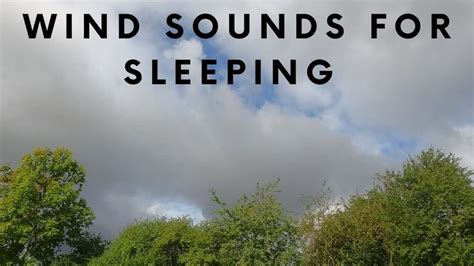 Wind Sounds For Sleeping | Sound of Wind for Relaxing, Sleep | Windy Sound | Sound sleep, Nature ...