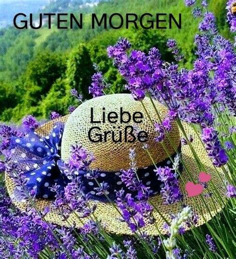 Pin von Elke Hußmann auf Sprüche Guten morgen Guten morgen schöne